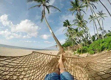 Программа под пальмой